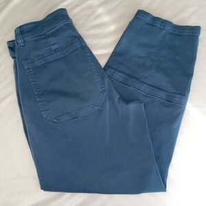 Everlane Barrel Pants